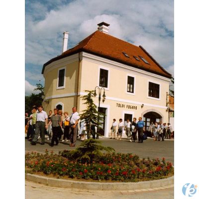 Toldi Fogado - Tokaj